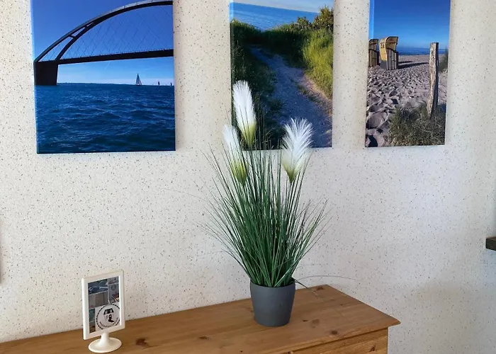 Steilkueste * Fehmarn